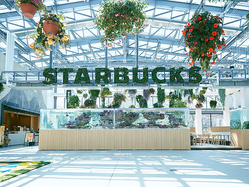 Paisagismo no Marketing: Starbucks Japão